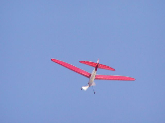 P9070186